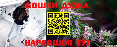 дмт Нарткала