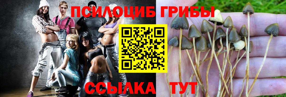 Псилоцибиновые грибы мицелий Ульяновск